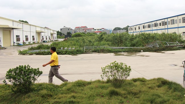 Phỏng vấn ông Phí Thanh Bình, Phó giám đốc Sở Tài nguyên và Môi trường tỉnh Bắc Giang về xử lý các dự án chậm tiến độ (14/01/2025)